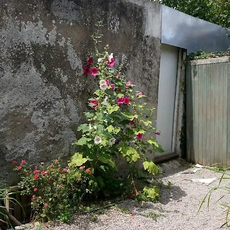 Courtyard Apartment, Close To Tram And Center Nantes